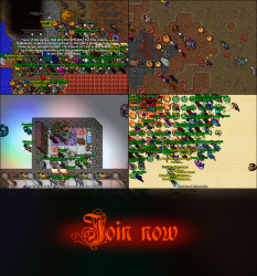 6.png