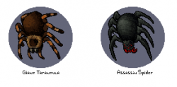 spider 2.png