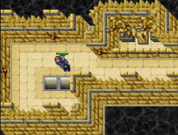 12.png
