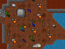 13.png