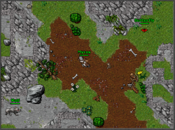 Bears.png