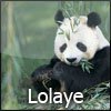 lolaye.jpg
