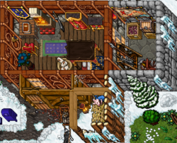 house inside winter.PNG