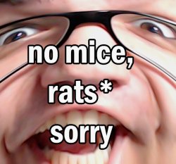 rats.jpg
