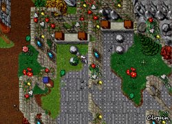 3.jpg
