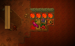 Rotworm pet.png