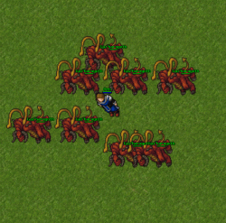 spell-2.gif