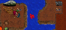 2.PNG