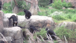 489.gif