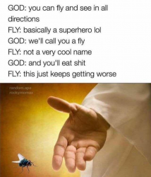1574701237907.png