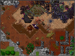 Screenshot_12.png
