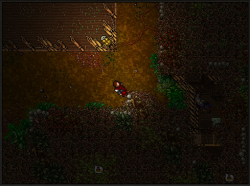 Screenshot_13.png