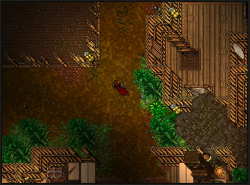 Screenshot_15.png