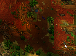 Tibia_lvUukmNVsi.png