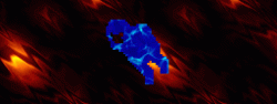 vwk64256 - Copy.gif