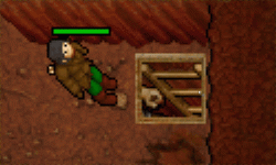 ladder.gif