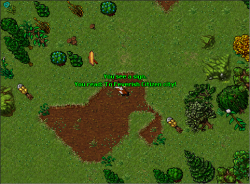 1577991262052.png