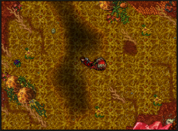 Screenshot_11.png