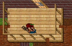 1.PNG