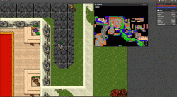 Tibia1.gif