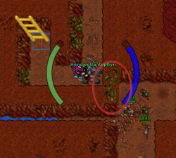 2020-01-17 18_25_20-Tibia - Hendwella Zephyn.png