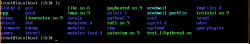 minhas libs centos7.PNG
