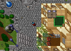 3.png