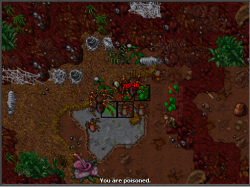 crad.png