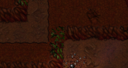 1580000070168.png