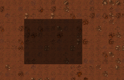 selex.PNG