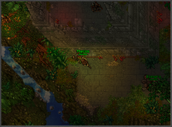 Jungle_1_Light.png