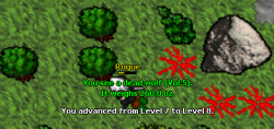 8lvl.png