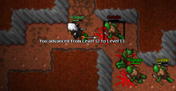 13.png