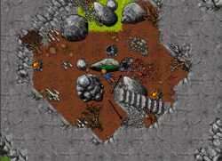 5.png