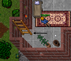 6.png