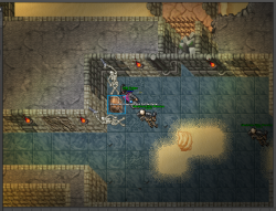 chest.png