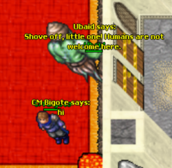 1583534036900.png