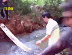 tenor (1).gif