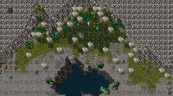 nest.png