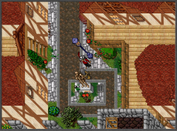 zxxf2.png