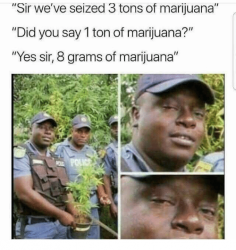 sir-weve-seized-3-tons-of-marijuana-did-you-say-31814283.png