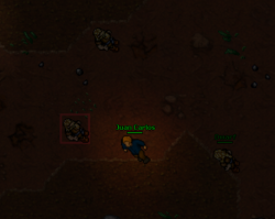 error.PNG