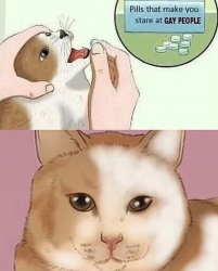1586580672186.png