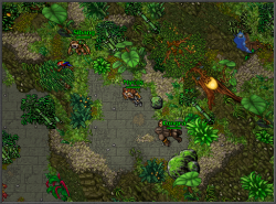 Jungle_3.png