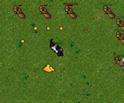mv6Jj03.gif