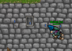 2020-04-18 00_09_11-Tibia - Achei Izi.png