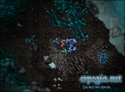 test 31.png