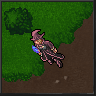 witch.gif
