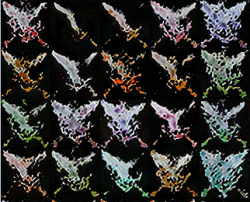 1590472669040.png