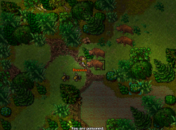 elven4.png